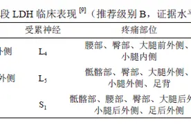 腰椎间盘突出症诊疗中国疼痛专家共识图片