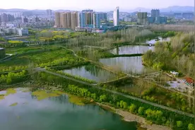 【十堰】久违了，丹江口沧浪洲湿地公园图片