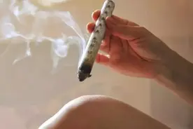 立方快评丨百亿艾草产业带背后的南阳智慧图片