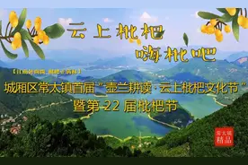 城厢区常太镇首届“壶兰耕读·云上枇杷文化节”暨第22届枇杷节来啦！快来“嗨枇”吧~图片