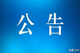 奎文这些“最美”被市里表扬了！图片