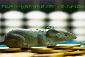 老鼠仓的一般操作过程是怎样的？如何识别老鼠仓？图片