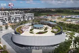 大湾区企业在海南建区域总部，两地擦出怎样火花？外国小姐姐带您探秘图片
