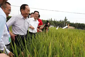 袁隆平院士称：“我国的粮食不够吃”，当前我国粮食现状如何？图片