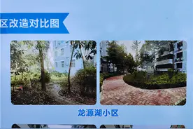 焦作一小区毁掉游园加装电梯引发业主不满，建设指挥部：没广征意见，可复原游园图片