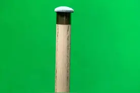 球员们的皮头都修成什么样？这颗“蘑菇状”皮头你知道是谁的吗？图片