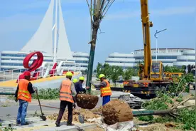 打造精品工程，欢乐海游艇码头项目加快建设图片