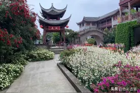 成都周边小众景点，不用开车一日游图片