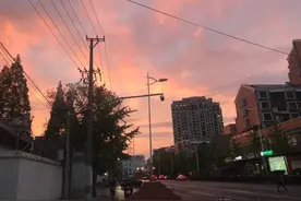 上海出现壮观晚霞，网友纷纷拍照留念！分析：夏天即将到来的标志图片
