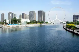 天津升级改造八百余平方公里湿地保护区图片