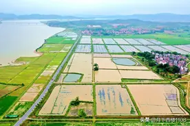 同是移民后代，为何湖南人对江西感情深厚而四川人对湖南毫无感觉图片