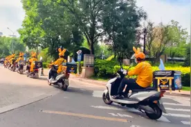 这队黄色小耳朵，你偶遇了吗？图片