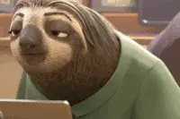 反射弧太长的猫咪骂骂咧咧的发言了：我那是可爱不是蠢图片