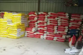 种小麦施二铵好还是复合肥好？二者区别在哪？农户如何选择？图片