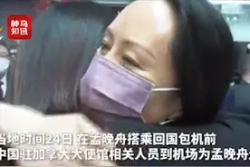 孟晚舟登机前与友人相拥，强忍泪水说“不许哭，不要哭”图片