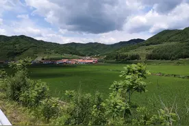 童年（四）图片