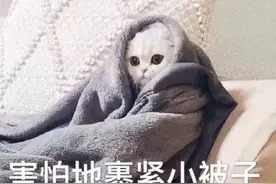 拐卖儿童？天津大街上实拍的真实一幕，刷爆了天津人的朋友圈图片