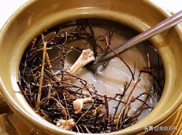 牛骨花胶汤的做法大全 2026年牛骨花胶汤的做法大全视频