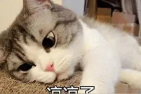 今日雅思考试：听力定位词听不到，大作文也凉凉？图片