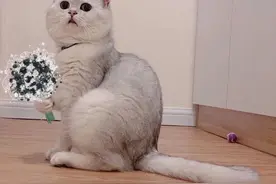 你听过最丧的一句话是什么？图片