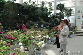 菏泽旅游市场稳步复苏   周边游、自驾游逐步回升图片