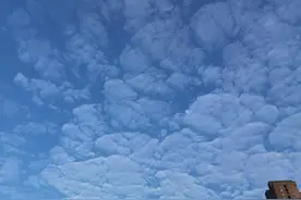 医圣祠叹咏图片