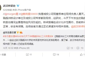 专家分析武汉鹦鹉洲长江大桥桥面晃动：系特定风况引起图片
