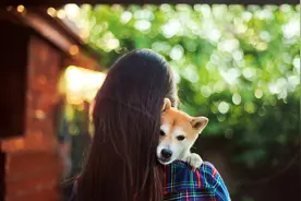 如何正确地抱狗狗？为什么有的狗狗喜欢拥抱，有的却排斥？图片