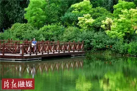 极度舒适！初夏，洛城满目“凉爽绿”图片