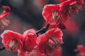 痛苦到底是什么？图片