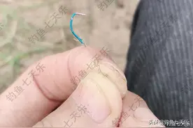 黄河有大鱼吗？老大爷回忆：二十斤的鲤鱼很常见，一晚能钓好几条图片