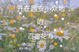 西安本土“仙湖”一日游，朋友圈大片又安排上了！图片
