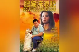 《肥猫流浪记》：每一个人都值得被世界温柔以待图片