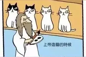 上帝一定是流水线生产的奶牛猫，还是质量不高的那种图片