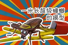 模型师老原儿｜如何消除家里的蟑螂图片
