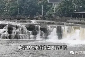 自贡探亲记图片