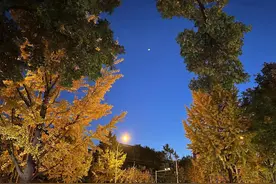 关于做梦的吐槽图片