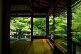 连雨不知春去，一晴方觉夏深图片