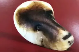 “珍贵的石头”天然狗头玉图片