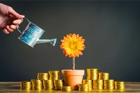 现在投入两三万元，在农村做哪些项目，一年能有10万以上的收入？图片