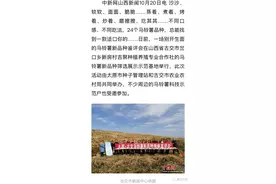 24个土豆品种那种最好吃？农业专家在古交替你来选拔图片