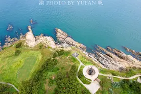 山东海岛惊现野生鹿群，数量从7头增长到200多头，寻鹿之旅很过瘾图片