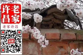 韩集到社楼，一去不回头。到底谁在许昌此地动过干戈？图片