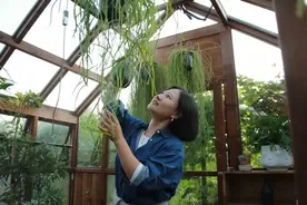 国内最小的农场，只有1亩地，来过的人都说好图片