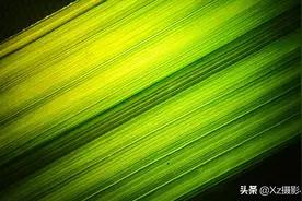 用手机老是拍不好照片？简单的方法和技巧，能够帮助你提升水平图片