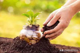一个人最顶级的养生方式：富养自己图片