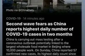 小白菜还是毒蘑菇？斯维托丽娜发图diss中国疫情图片