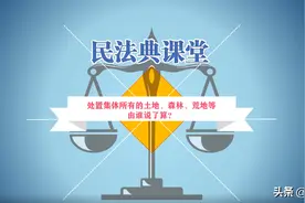 民法典课堂 | 处置集体所有的土地、森林、荒地等，谁说了算？图片