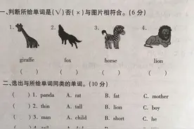 三年级英语下册第三单元测试，以动物的学习为主，动物单词不好记图片