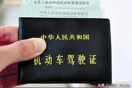 请问补办行驶证需要什么材料？车子要开去现场吗？图片